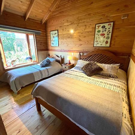Hostal Pucon Sur Exteriér fotografie